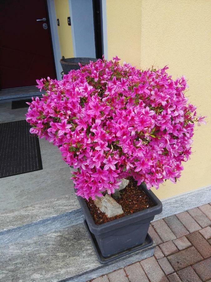 B&B Guglielmina Quarna Sotto Eksteriør billede